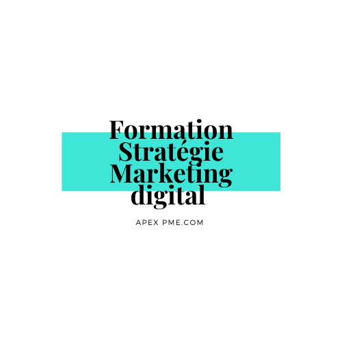 Rdv pour une fomation sur votre stratégie marketing digital avec APEX PME