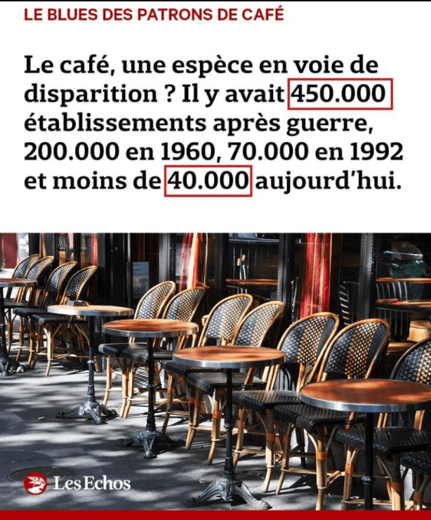 Les Echos - le café une espèce en voie de disparition ? - 09 2023